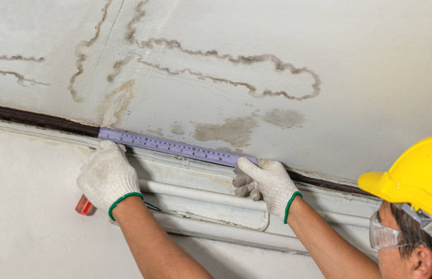 Reliable Flood Cleanup contractor in Bloomdale, OH by Water Damage Irwin